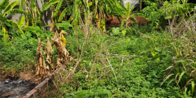 Đất Vân trì, Đông Anh đường xe máy quay đầu morrning lùi nông giá tốt