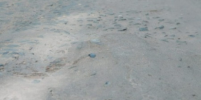 Chủ gấp bán, ngân hàng đang xiết, Hạ tiếp giờ còn 7.9 tỷ có TL(trước 8.5ty)