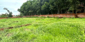 120m2 Hòa phong Hòa vang  gần trường THPT Ông ích khiêm chỉ cần 350tr CC Ngay