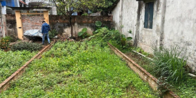 Đất đẹp Hà Đông, 44m2 vuông vắn, ô tô vào đất, chỉ 31.1triệu/m2