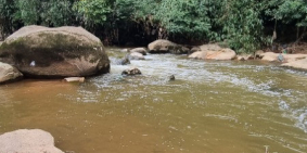 Gia đình cần bán gấp 2 hecta đất tại phường 07 giá chỉ 15 tỷ