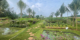 Đất mặt tiền QL20, DT 1000m2,Đồng Nai, Đường nhựa 6m, Sổ riêng từng nền,Từ 1.3tỷ