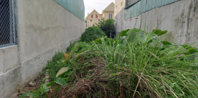 Bán đất T.Lộc 41 PHƯỜNG Thạnh Lộc Quận 12, Nở hậu, 20tr m2, đường 3.5m, giá chỉ