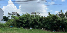 Cho thuê đất kinh doanh rộng rãi