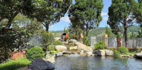 Bán biệt thự sân vườn nghĩ dưỡng cách trung tâm Đà Lạt chỉ 15km