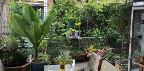 GĐ cần bán gấp nhà mặt tiền đường rộng 12M gần Lạc Long Quân,P11,Q TB