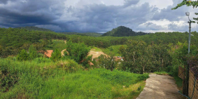 Bán lô đất view rừng thông tại Xuân Thọ Đà Lạt 970m2