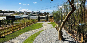 Bán đất hẻm Mai Anh Đào Đà Lạt chỉ 2 tỷ 1