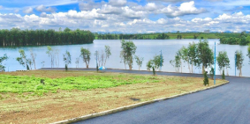 đất Bình Phước thanh lý giá rẻ, mặt tiền đường nhựa 7 mét, sổ hồng riêng