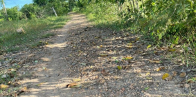 6285m2 đất CLN hồng liêm đường ô tô, có hồ nước giá 190k/m2 ck cao Lh 0385230667