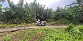 650tr ~ 1,9tr/m2Dãy Nền Đẹp 6,3*49 (336m2) Có 100 Thổ Cư, Rạch Ba Cui, Cách