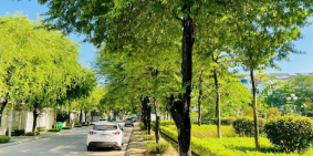 Bán nhà biệt thự, liền kề tại Dự án Khu đô thị Geleximco - Lê Trọng Tấn, Hà Đông