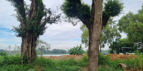 Bán lô đất biệt thự ngang 10x77m nở hậu, khu VIP bên sông, Chợ Lái Thiêu - BD