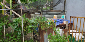 Bán đất X.Thới tam thôn H.hóc môn, ĐƯỜNG 3m, chỉ 1.xx tỷ