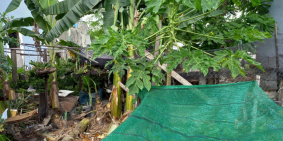 Bán đất xã Thới tam thôn H.HÓC MÔN, Đường 3m, chỉ 1.xx tỷ