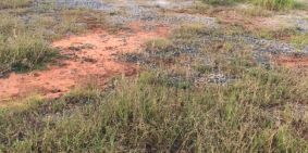 Cho thuê đất làm nhà xưởng, kho bãi ngay KCN Phan Thiết