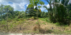 Nền 5,15*20 Thổ Cư, Rạch Chuối - Nguyễn Văn Cừ, Mỹ Khánh, Phong Điền