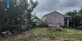 Chuyển đổi cơ cấu nên bán lại đất và mô hình kinh doanh trên đất.