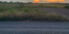 Chính chủ cắt lỗ lô đất thổ cư đường KDC ấp 5 xã Phước Vân, Cần Đước, 5x35m SHR