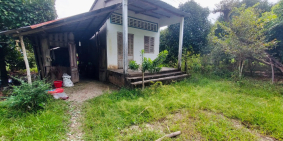 Miếng Vườn 611m2 CLN, Mặt Tiền 25m, Giáp Lộ 2m, Đang Trồng Măng Cụt & Dừa