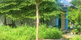 Đất nền đấu giá khu dân cư TT Sông Vệ giá 6xxtr đầu tư tốt