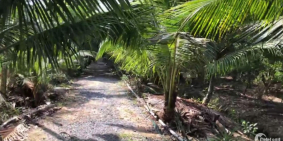 ĐẤT VƯỜN THÀNH TRIỆU ĐƯỜNG Ô TÔ 7 CHỖ GẦN LỘ THƠ