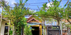 Bán dãy nhà gỗ 3 phòng, dịch vụ homestay