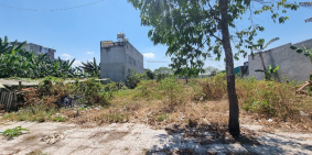 Bán Nhanh Đất Thổ Cư 100% Sổ Riêng Sẵn, Gần trường Tiểu Học Thạnh Phú