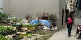 Bán đất ngõ phố An Ninh, phường Quang Trung, TP HD, 40.5m2, mt 4m, hướng bắc, kh