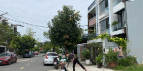 BIỆT THỰ HOÀ XUÂN, 1 LÔ CÒN GIỮ LẠI VỊ TRÍ NGON LÀNH, DẪN ĐẦU XU HƯỚNG