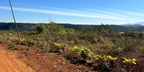 1300m2 Đất Tân Lâm 60m mt đường ô tô giá 470tr sổ riêng