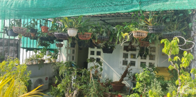 Cần bán nhà đường long thuận quận 9