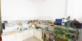 HIếm , Bán Nhà Riêng NI SƯ HUỲNH LIÊN 40M2 X4 Tầng, 4PN Chỉ 3,X TỶ