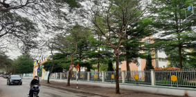 Chủ làm doanh nghiệp bán thu hồi vốn 100m đất ô tô tránh Cổ Linh giá 20 tỷ 5