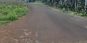 Bán 2.4 ha ngay gần TT Bảo Lộc