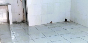 Cho thuê nhà nguyên căn đường số 5 Linh Xuân