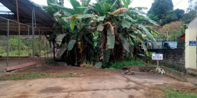 cần bán ĐẤT mặt phố Hùng An Bắc Quang Hà Giang, thổ cư 210m,mt10m lh 0911877829