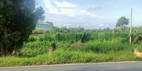 Bán đất vườn mặt tiền Thế Lữ, Tân Nhựt, BC - 24x80m (2000m2) cực đẹp