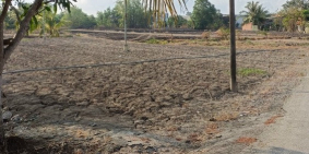 Bán 1470m2 đất vườn Hưng Long, Bình Chánh, mặt tiền ngang 28m vuông vức siêu đẹp