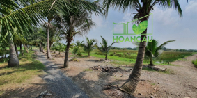 3600m2 đất sào Nhơn Trạch cực ngộp, anh chị không nên bỏ lỡ