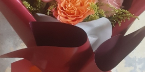 Bán đất mt đường 10.5m tại Bùi Tấn Diên_ liên chiểu_ đà nẵng