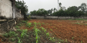 Chỉ hơn 500tr là sở hữu lô đất trung tâm xã Phú Thành, huyện Lạc Thuỷ