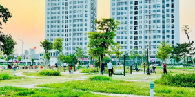 Bán đất nhà vườn KDC Trần Hưng Đạo, TP Hải Dương, 202.5m2, mặt tiền 10m, view cô