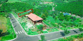 Còn 1 lô duy nhất view đồi có sẵn vườn bơ 034 giá 1088. diện tích 216m2