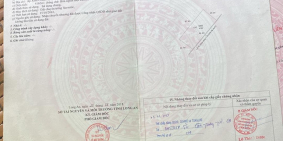 Bán đất lúa hết sổ 4162m2 tân lân cần đước long an