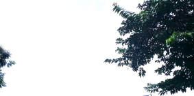 Đất, Ô Đồng Lầm, Đống Đa, 30m ra hồ Ba Mẫu, ngõ thẳng tắp, xây CCMN, VP, ở cực