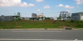 BÁN GẤP ĐẤT MẶT TIỀN KHU VỰC THỦ ĐỨC -  50M MẶT TIỀN ĐẤT THỔ CƯ