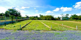 Cần tiền bán gấp đất Phước Hiệp, Củ Chi giá chỉ  m2 Full Thổ, SHR