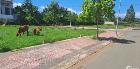 Chủ gửi lô đất nằm trong khu dân cư Hoà Long Mới - BRVT, bên cạnh chợ Hoà Long.