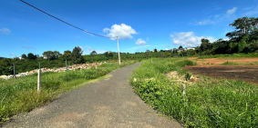 Đất ngộp chính chủ  6x22 75m thổ Thị Trấn Di Linh sổ riêng giá 550tr